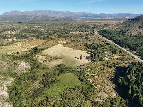Campo en Venta de 1.250  ha