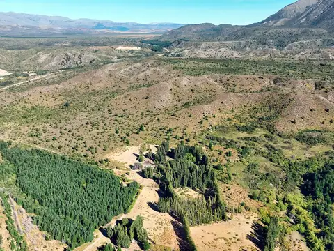 Campo de 1250 has en Epuyen