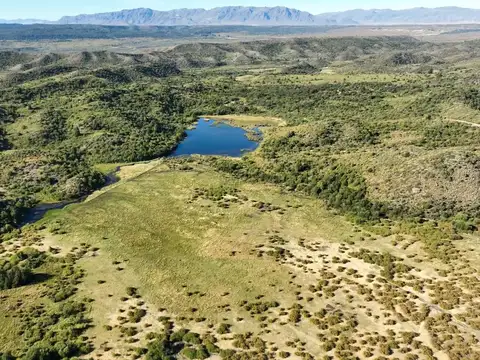 Campo en Venta de 1.250  ha