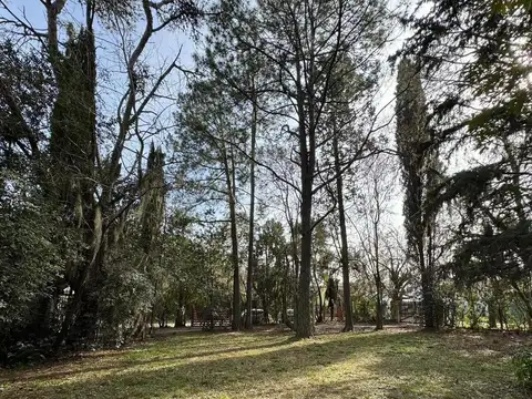 Terreno en Venta de 300,0 m2