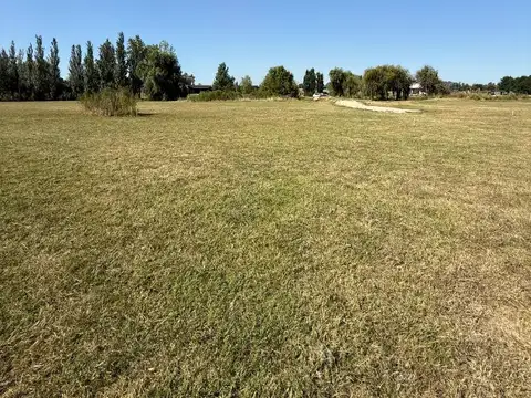 Terreno en Venta de 10000,0 m2