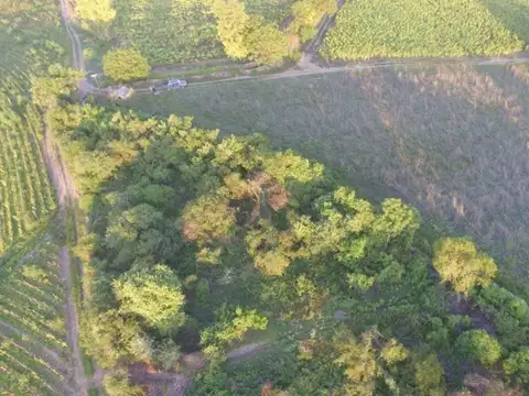 Aguas Caliente Distrito Pampa Blanca