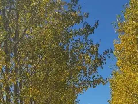 Ruta Nacional 149 km 14 100