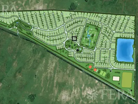 HARAS DEL SUR I LOTE 270B