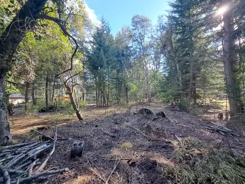 Terreno en Venta 44  mts Frente