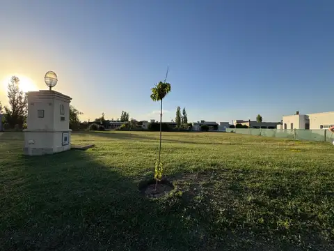 Venta Terreno en Lagos de San Eliseo