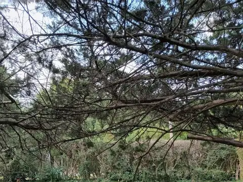 182 e/ 43 y avenida 44