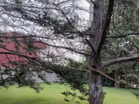 Terreno en Venta de 600,0 m2