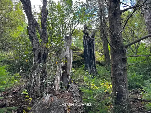 Terreno en Venta de 868,0 m2