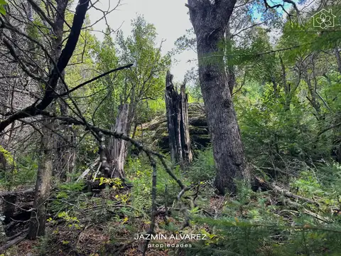 Terreno en Venta de 868,0 m2