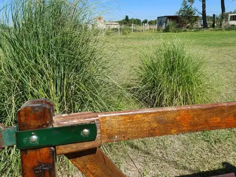 Venta Terreno / Lote Cucullú 1000 m2