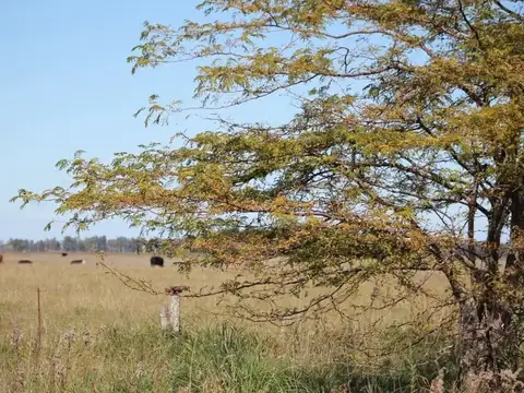 Terreno en Venta de 5000,0 m2