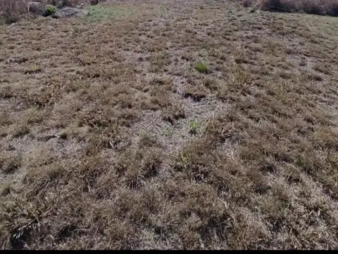Terreno en Barrio Lotengo