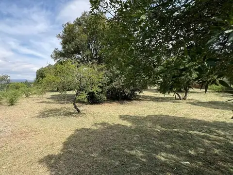 PASAJE PRIVADO S/N- LOTE 54-MZA 116