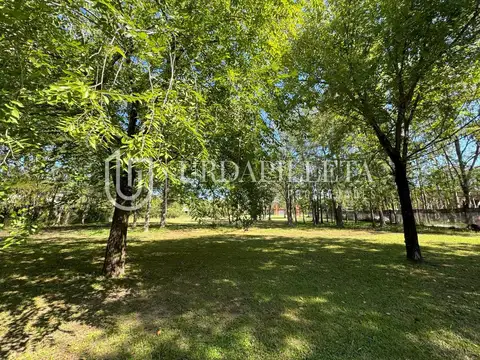 Terreno en Venta 30  mts Fondo
