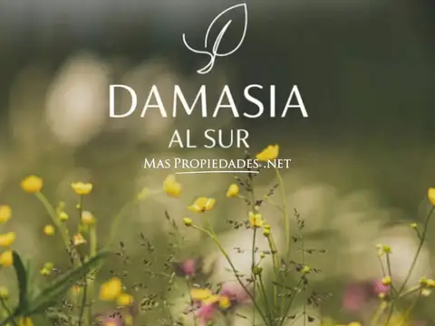 Venta Terreno / Lote en Damasias al sur Canning