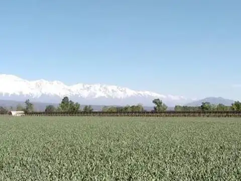 Ruta Nacional 40 Knm 45 Lujan de Cuyo Mendoza