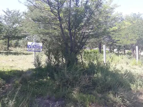 Terreno en Venta 46  mts Fondo