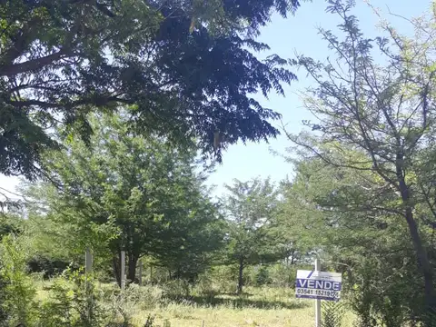 Terreno en Venta 15  mts Frente