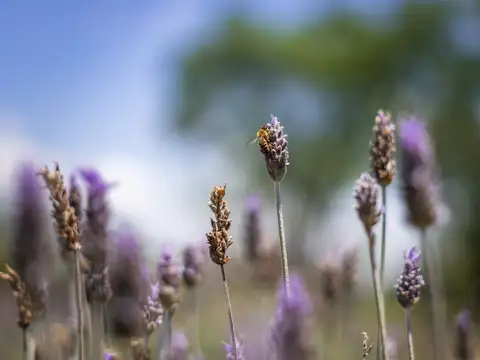HERMOSAS CHACRAS CON VISTA AL LAGO LOS MOLINOS EN POTRERO DE GARAY- 705