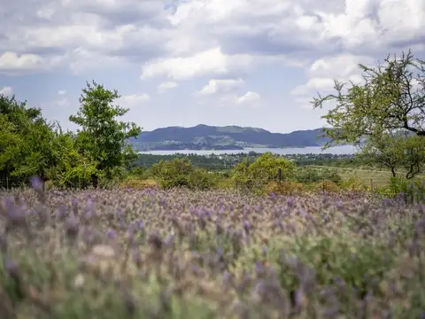 Terreno en Venta, FOS 0.5