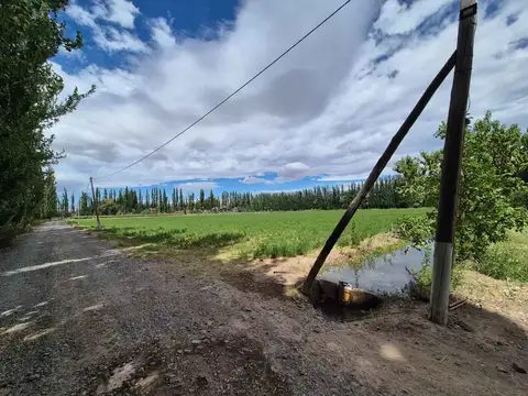 VENTA CHACRA 5 HECTAREAS CON ALFALFA