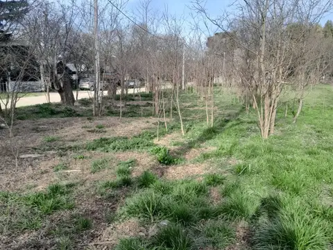 Terreno en Venta de 763,0 m2