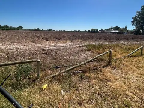 FINCA EN VENTA EN GUAYMALLÉN . 8 HAS EN PRODUCCIÓN