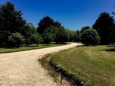 Pinares de Santa Clara