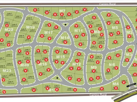 Pinares de Santa Clara