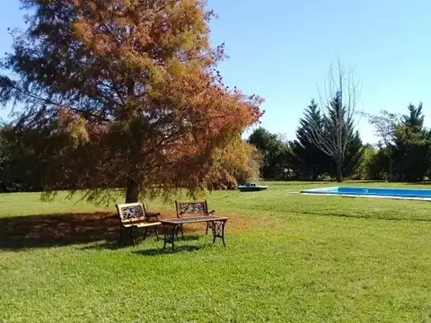 Lote 100