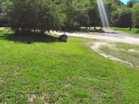 Terreno en Venta en El Potrerillo de Larreta, USD 89.000