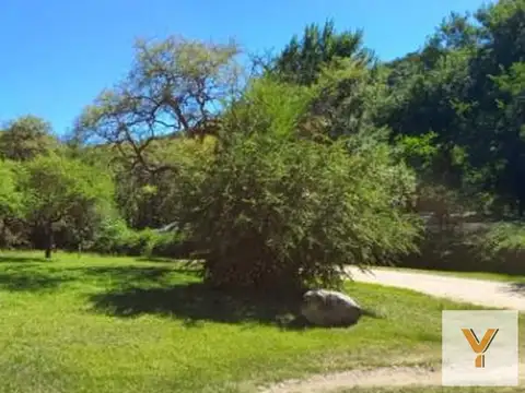 Terreno en Venta 40  mts Fondo
