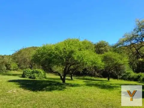 Terreno en Venta de 1566,0 m2