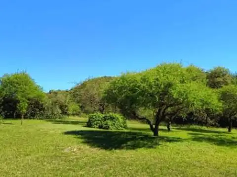 Terreno en Venta de 1566,0 m2