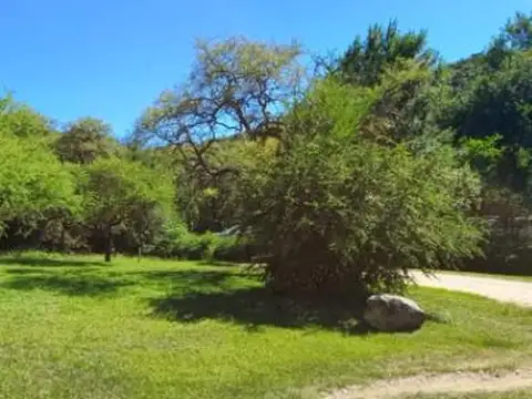 Terreno en Venta 40  mts Fondo