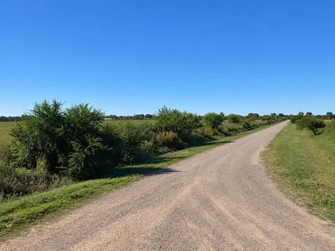CAMPO AGRÍCOLA EN VENTA EN GABOTO