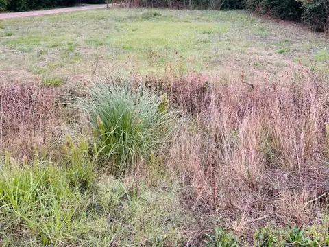 VENTA TERRENO EN RUTA 5 MERCEDES