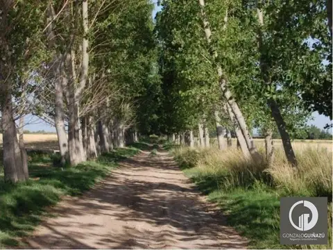 Campo en Resolana 1887 Has a 31km de San Rafael