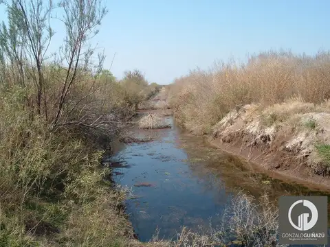Campo en Resolana 1887 Has a 31km de San Rafael