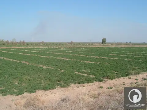 Tierra de Resolana