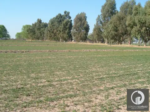 Campo en Resolana 1887 Has a 31km de San Rafael