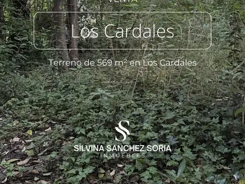 TERRENO EN VENTA, PUEBLO LOS CARDALES