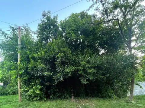 Terreno en Venta de 569,0 m2