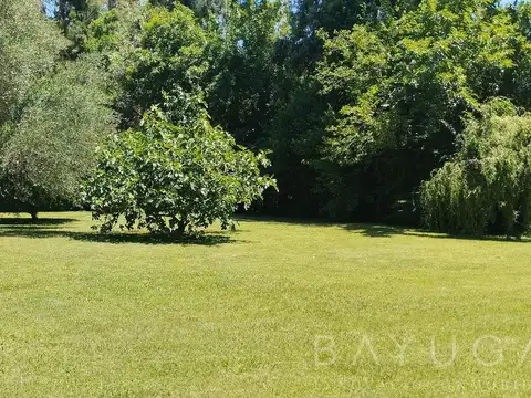 Barrio Los Pinos - Ayacucho al 200