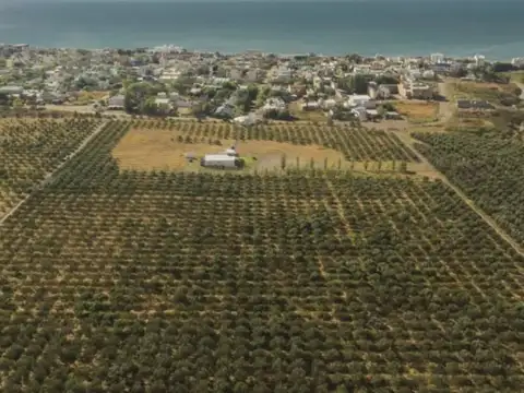 Terreno en Venta de 413,0 m2
