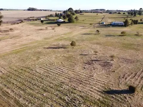 Ruta 21 km 249 Lote 25