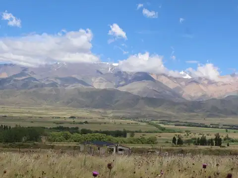 Terreno en Venta de 10100,0 m2