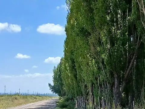 Terreno en Venta en Pareditas, USD 50.000