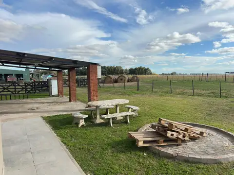 SAN ANTONIO DE ARECO 100